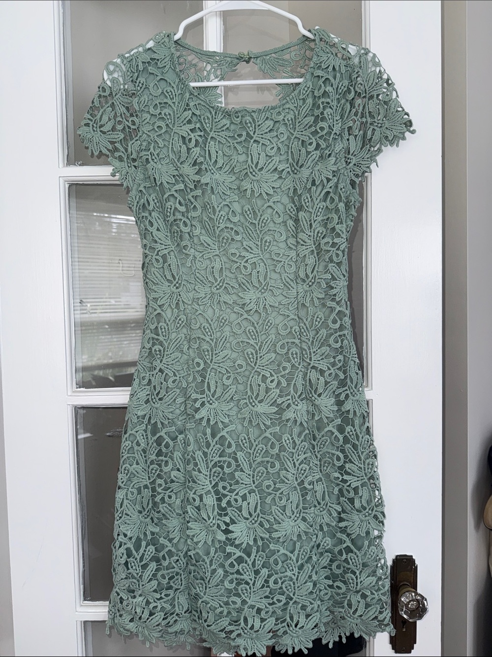 Lulu's Backless Sage Green Floral Lace Cap Sleeve Mini Dress